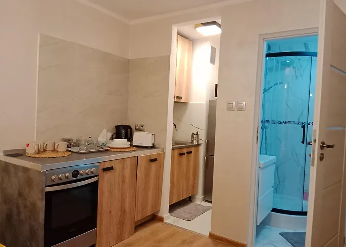 Apartment 1010 Centrum *