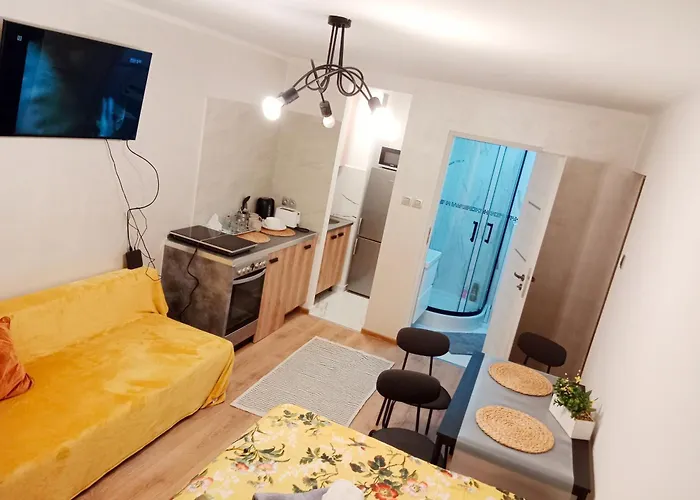 Apartment 1010 Centrum *