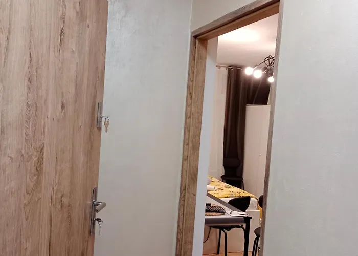 Apartment 1010 Centrum *