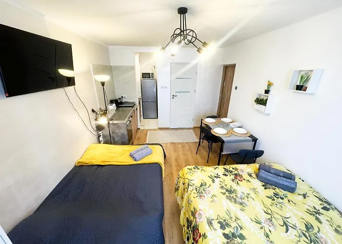 Apartment 1010 Centrum *