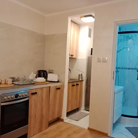 Apartament 1010 Centrum *